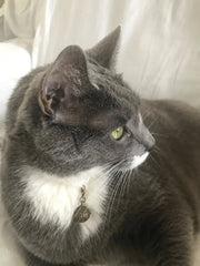 HeartBond Harmony Set – A Sacred Link Between You and Your Beloved Pet